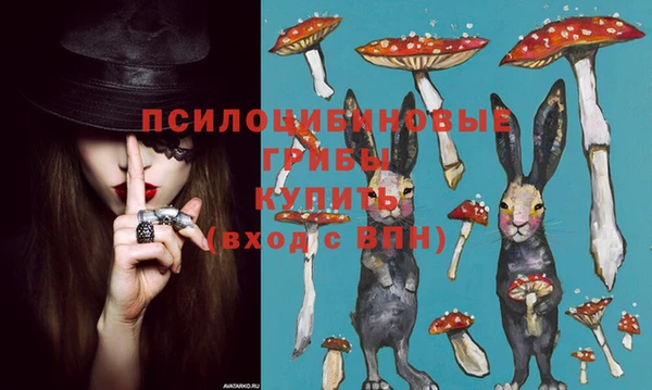 дурь Алексеевка