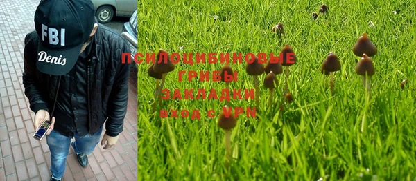 дурь Алексеевка