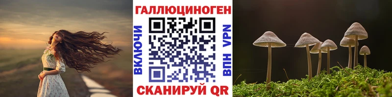 Галлюциногенные грибы MAGIC MUSHROOMS  OMG ССЫЛКА  Кызыл 