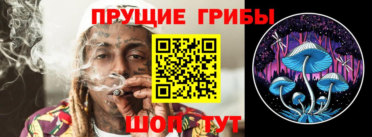 Кызыл  Галлюциногенные грибы мухоморы  Вход с VPN 